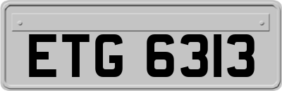 ETG6313