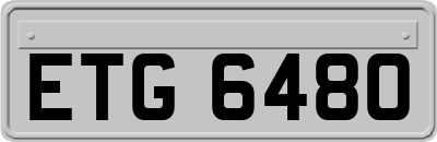 ETG6480