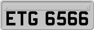 ETG6566