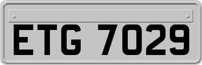 ETG7029