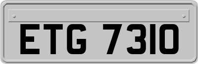 ETG7310