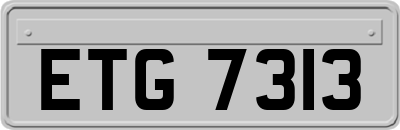ETG7313