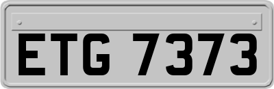 ETG7373