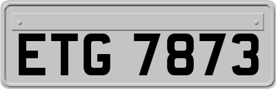 ETG7873