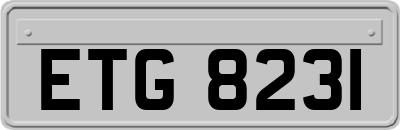ETG8231