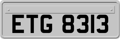 ETG8313