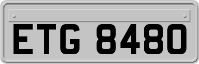 ETG8480