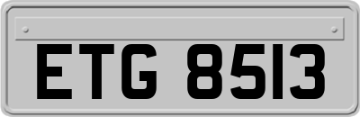 ETG8513