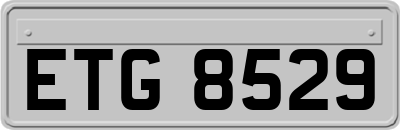 ETG8529