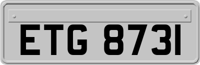 ETG8731