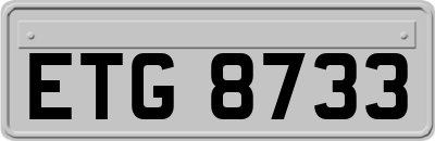 ETG8733