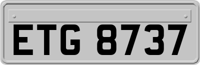 ETG8737