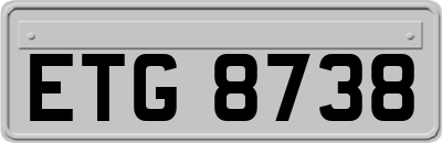ETG8738