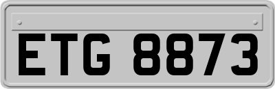 ETG8873