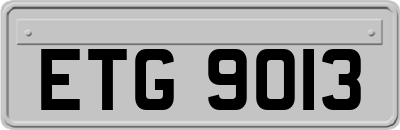 ETG9013