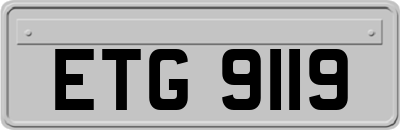ETG9119