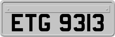 ETG9313