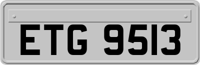 ETG9513