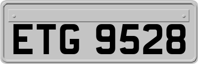 ETG9528
