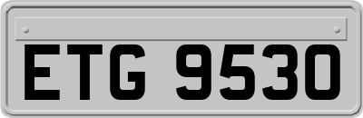 ETG9530