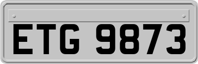 ETG9873