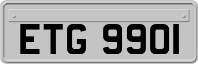ETG9901