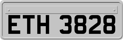 ETH3828