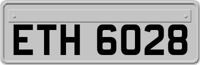ETH6028