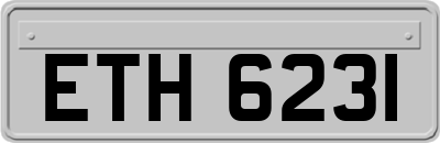 ETH6231