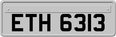 ETH6313