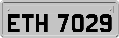 ETH7029