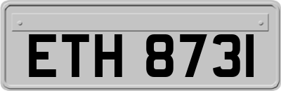 ETH8731