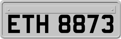 ETH8873
