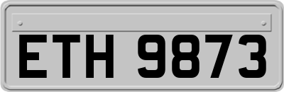 ETH9873