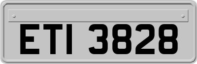ETI3828