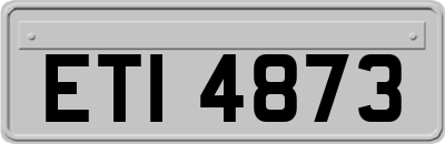 ETI4873