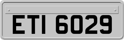 ETI6029