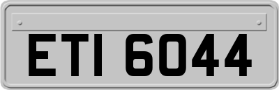 ETI6044