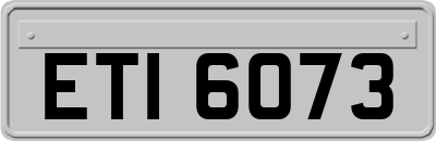 ETI6073