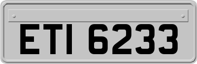 ETI6233