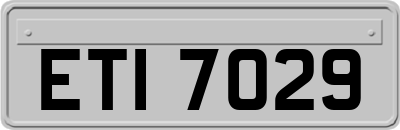 ETI7029