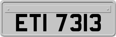 ETI7313