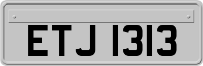 ETJ1313