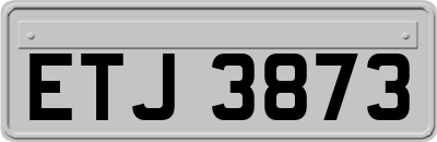 ETJ3873