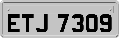 ETJ7309