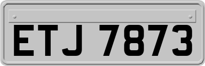 ETJ7873