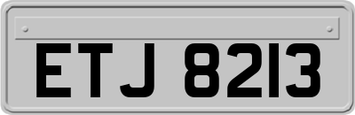 ETJ8213