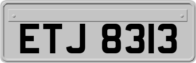 ETJ8313