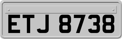ETJ8738