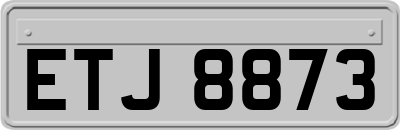 ETJ8873